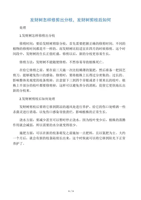 发财树怎样修剪出分枝,发财树剪枝后