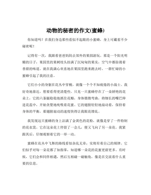 动物的秘密的作文(蜜蜂)