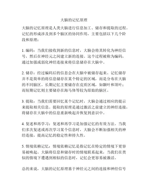 大脑的记忆原理