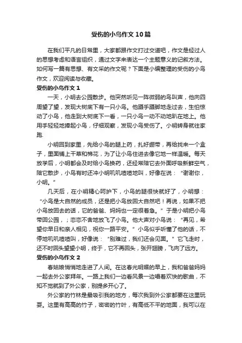 受伤的小鸟作文10篇