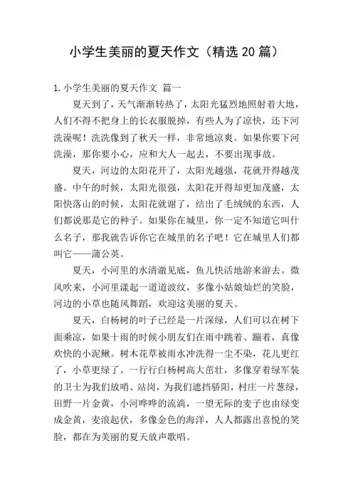 小学生美丽的夏天作文(精选20篇)