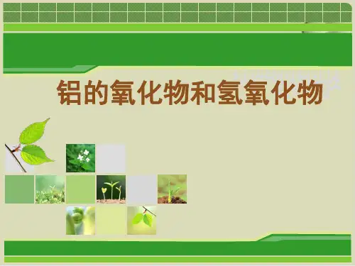 铝的氧化物与氢氧化物PPT下载9