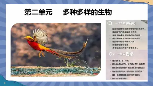 生物人教版2024版七年级上册2.1.2 种子植物 课件01
