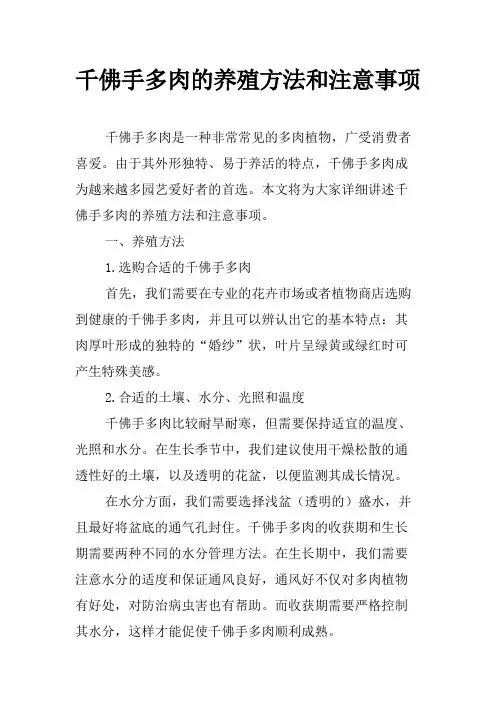千佛手多肉的养殖方法和注意事项