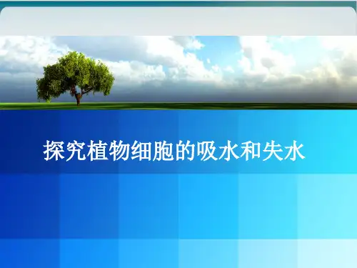 人教版生物必修一《探究植物细胞的吸水与失水》同步说课优质课件