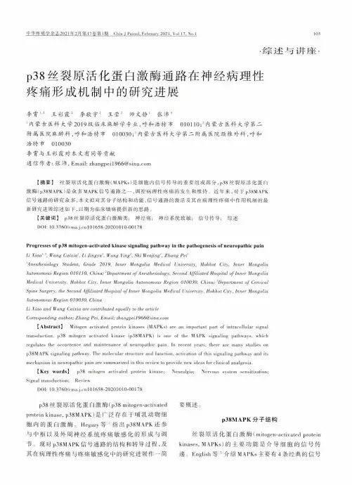 p38丝裂原活化蛋白激酶通路在神经病理性疼痛形成机制中的研究进展