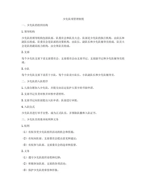 少先队项管理制度