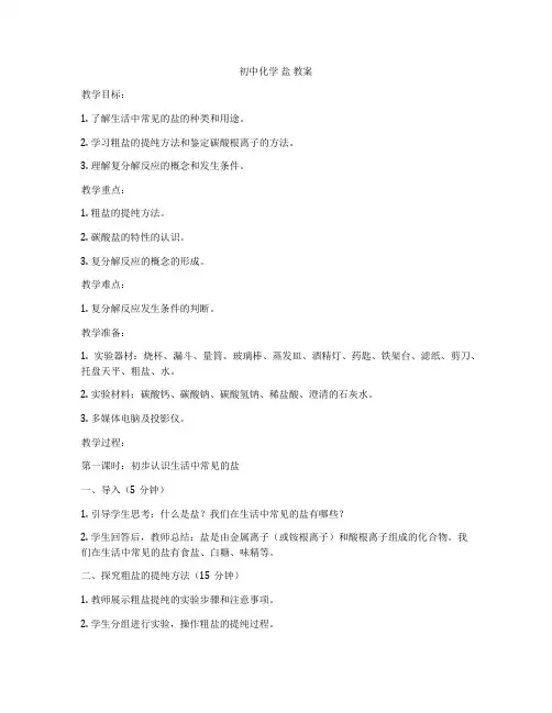 初中化学 盐 教案