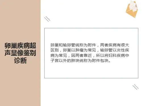 卵巢疾病的超声鉴别诊断