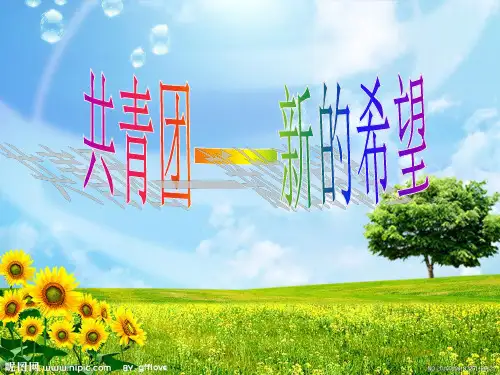 共青团_完整ppt.