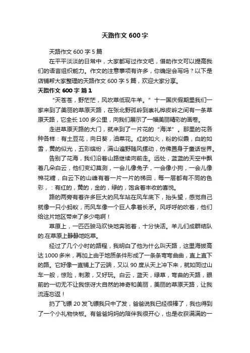 天路作文600字