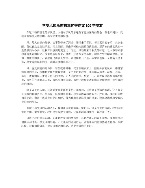 享受风的乐趣初三优秀作文800字左右
