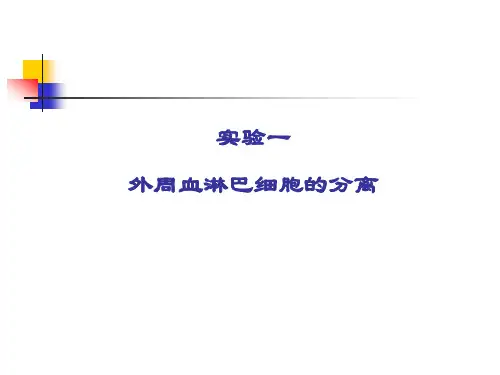 实验一外周血淋巴细胞的分离