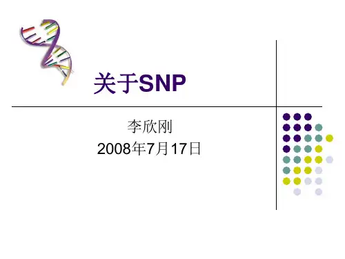 关于SNP-