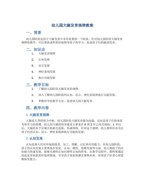 幼儿园大脑发育规律教案