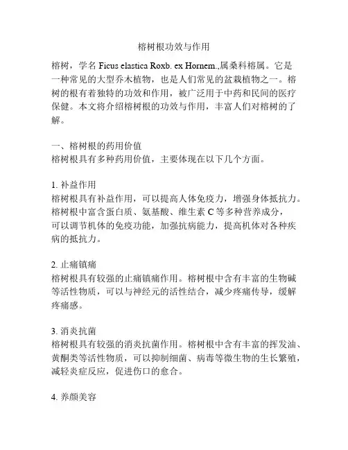 榕树根功效与作用