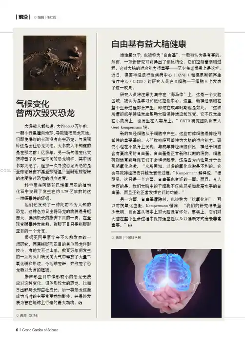 自由基有益大脑健康