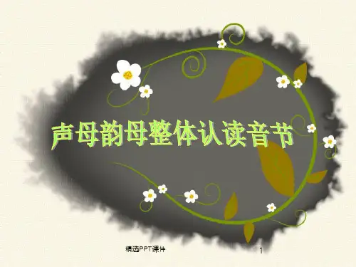 声母韵母整体认读音节表ppt课件