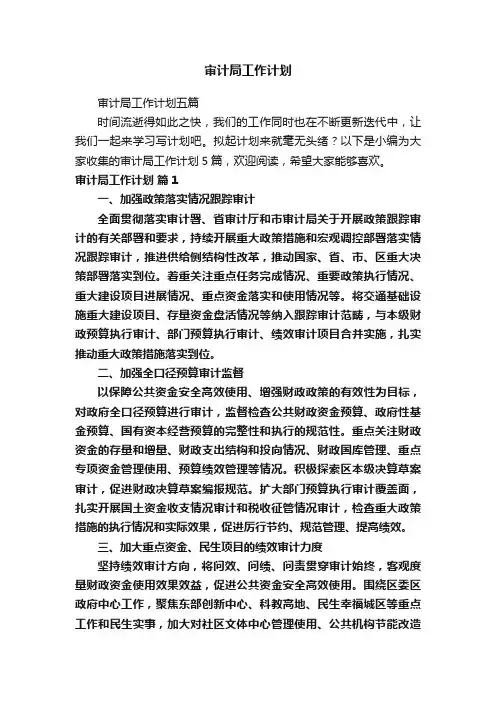 审计局工作计划