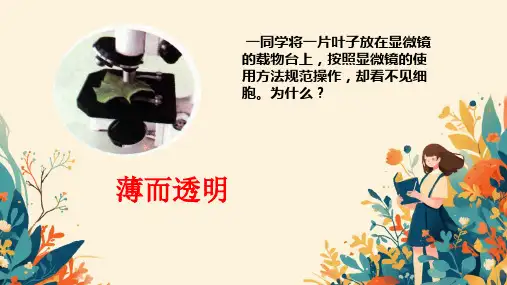 人教版(新课程标准)(2024)1.2.2植物细胞(共19张PPT)