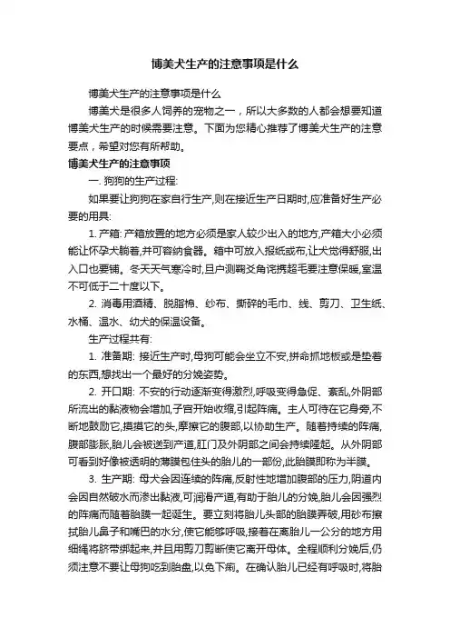 博美犬生产的注意事项是什么