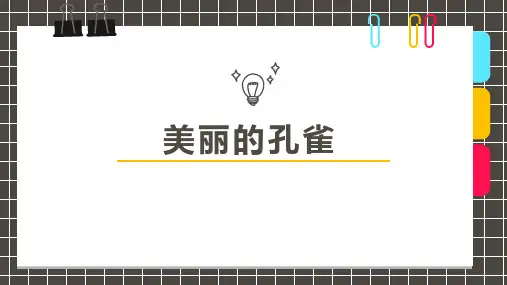 《美丽的孔雀》少儿水彩笔美术PPT课件