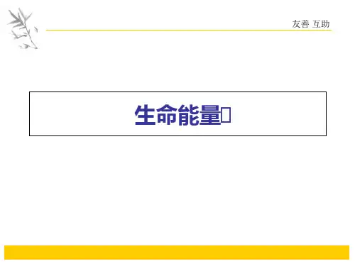 生命能量课程介绍ppt课件