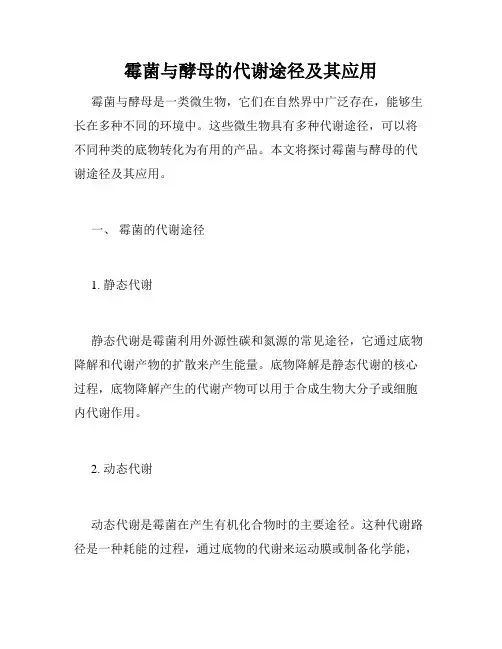 霉菌与酵母的代谢途径及其应用