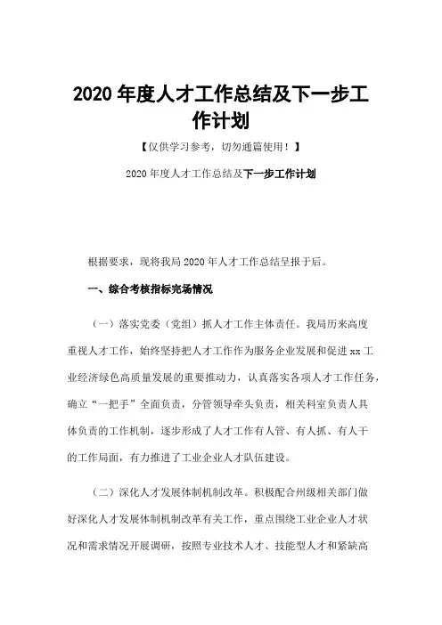 2020年度人才工作总结及下一步工作计划