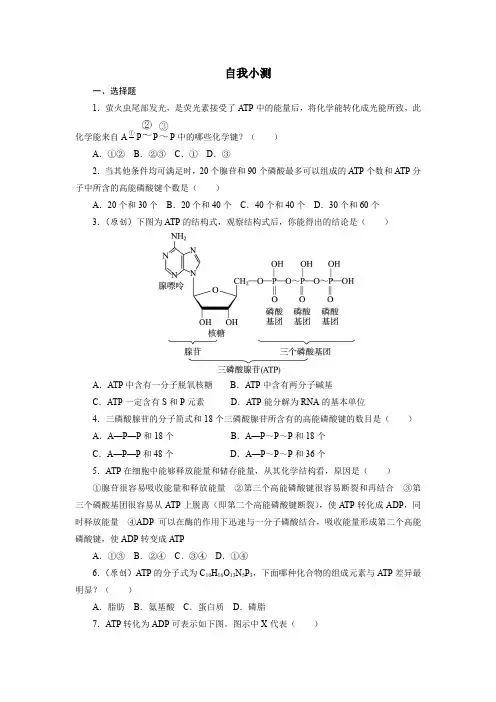 人教课标生物必修1《细胞的能量“通货”——ATP》自我小测