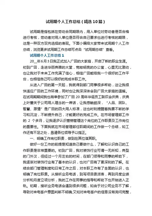 试用期个人工作总结（精选10篇）