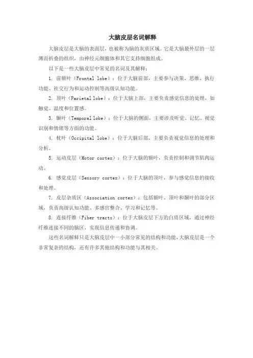 大脑皮层名词解释