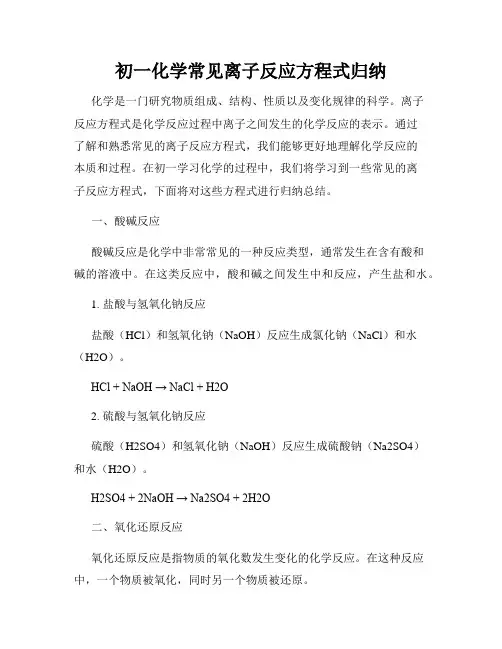初一化学常见离子反应方程式归纳