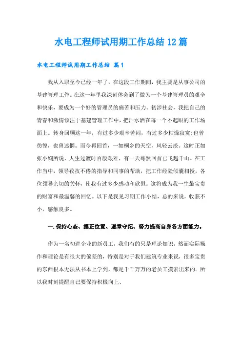 水电工程师试用期工作总结12篇