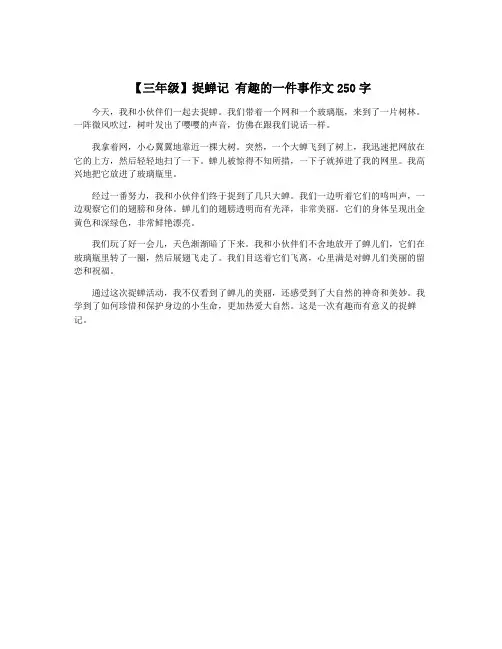 【三年级】捉蝉记 有趣的一件事作文250字