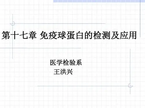 免疫球蛋白检测及应用PPT课件