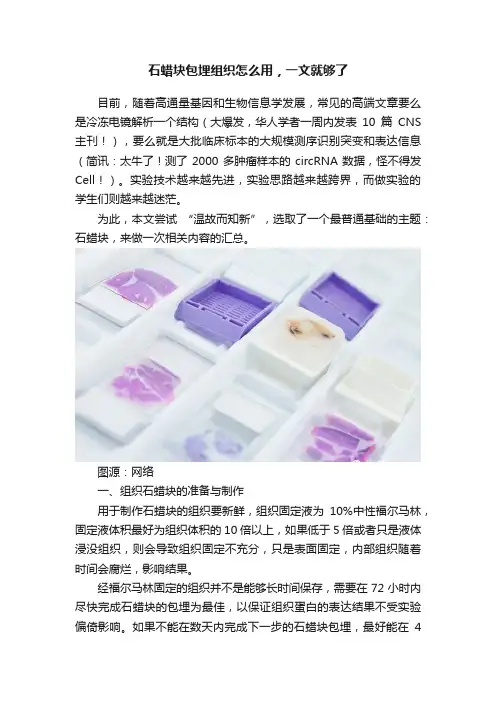 石蜡块包埋组织怎么用，一文就够了