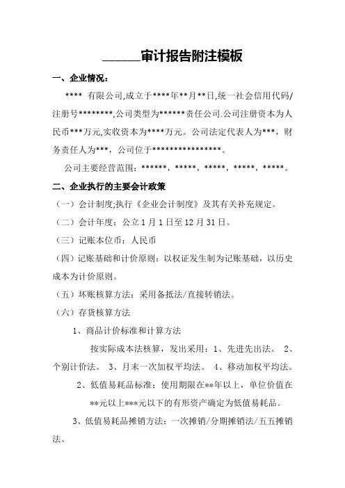 审计报告附注模板