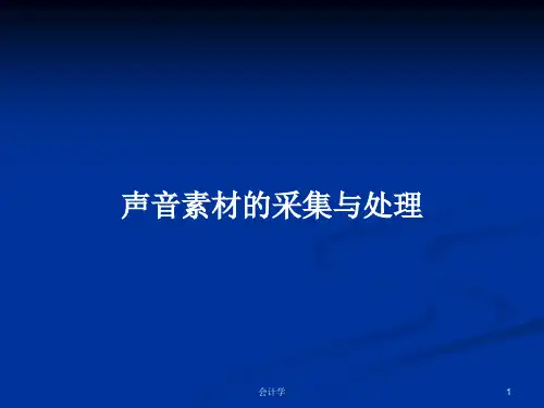 声音素材的采集与处理PPT学习教案