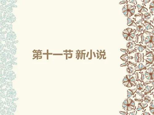 第11章 新小说