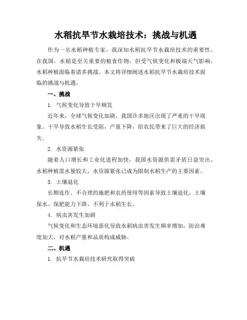 水稻抗旱节水栽培技术：挑战与机遇