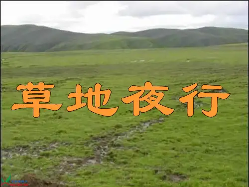 《草地夜行》课件