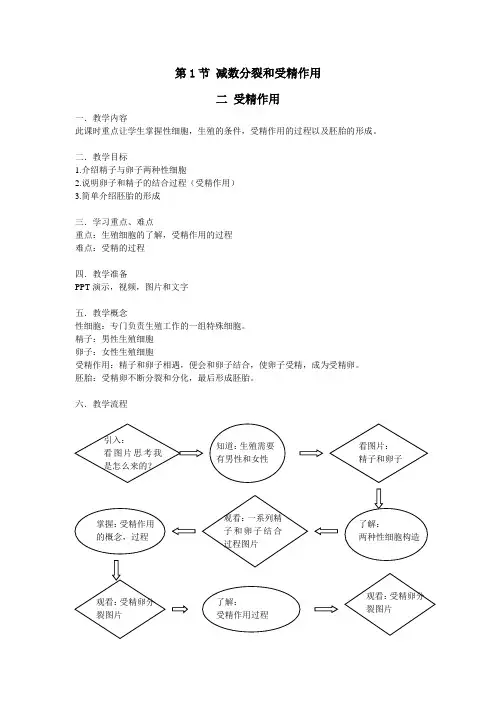 人教课标版高中生物必修2第2章《受精作用》教学设计2