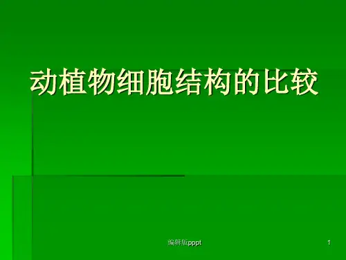 动植物细胞结构比较PPT课件
