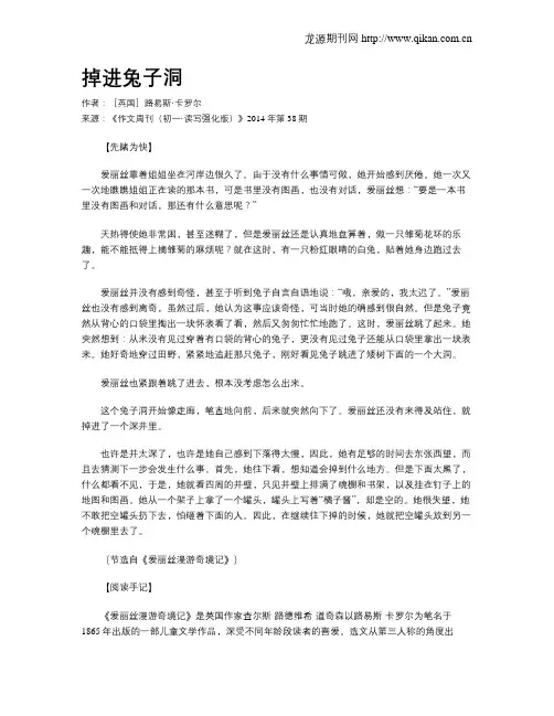 掉进兔子洞