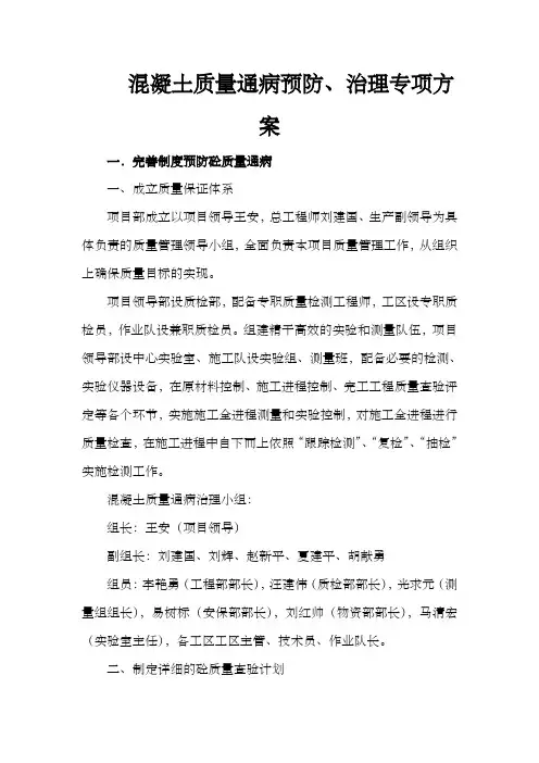 混凝土质量通病治理专项方案