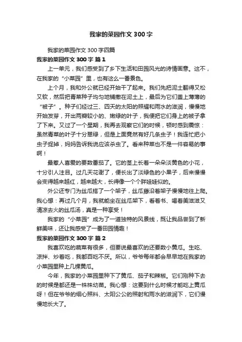 我家的菜园作文300字四篇