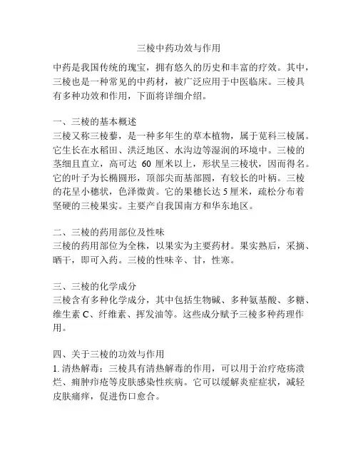 三棱中药功效与作用