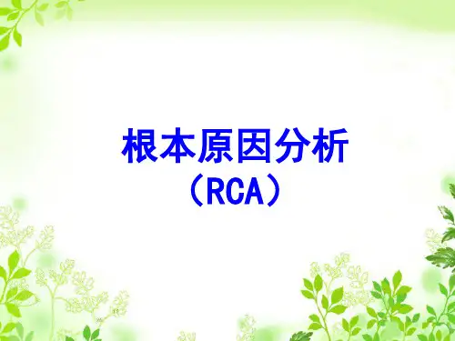 根本原因分析(RCA)
