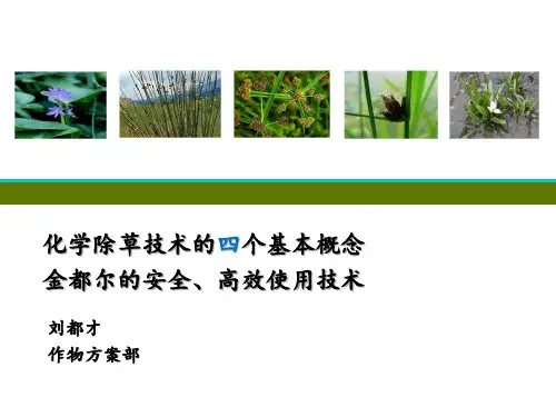 2017化学除草技术的四个基本概念及金都尔应用技术-刘都才